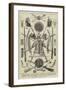 Arms from the Prince of Wales's Indian Collection-Thomas Walter Wilson-Framed Giclee Print