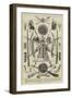 Arms from the Prince of Wales's Indian Collection-Thomas Walter Wilson-Framed Giclee Print