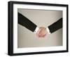 Arms of Male Couple Wearing Tuxedos Holding Hands, One with Wedding Band, Illustrating Gay Marriage-Ted Thai-Framed Premium Photographic Print