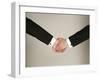 Arms of Male Couple Wearing Tuxedos Holding Hands, One with Wedding Band, Illustrating Gay Marriage-Ted Thai-Framed Photographic Print