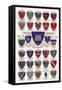 Arms of the Colleges of Oxford University-null-Framed Stretched Canvas