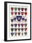 Arms of the Colleges of Oxford University-null-Framed Giclee Print