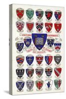 Arms of the Colleges of Oxford University-null-Stretched Canvas