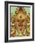 Arms of the Medici Family-Pat Nicolle-Framed Giclee Print