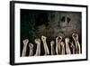 Arms Raised in Protest on a Grunge Background-soupstock-Framed Photographic Print