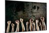 Arms Raised in Protest on a Grunge Background-soupstock-Mounted Photographic Print