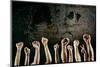 Arms Raised in Protest on a Grunge Background-soupstock-Mounted Photographic Print