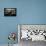 Armut: Motivationsposter Mit Inspirierendem Zitat-null-Photographic Print displayed on a wall