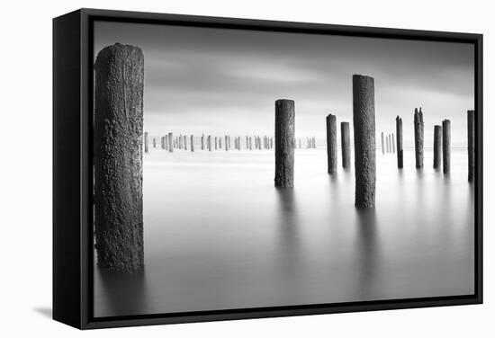 Army 2 Pano-Moises Levy-Framed Stretched Canvas