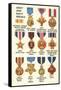 Army and Navy Medals-null-Framed Stretched Canvas