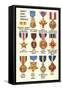 Army and Navy Medals-null-Framed Stretched Canvas