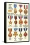 Army and Navy Medals-null-Framed Stretched Canvas