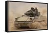 Army Bradley Fighting Vehicle in Iraq, Oct. 30, 2004-null-Framed Stretched Canvas