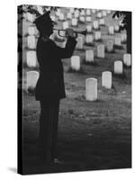 Army Bugler at Arlington Cemetery, During Ceremonies-George Silk-Stretched Canvas