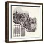 Army of the Khalif of Persia in the Middle Ages-Pat Nicolle-Framed Giclee Print