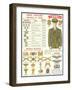 Army Officers Insignia-null-Framed Art Print