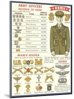 Army Officers Insignia-null-Mounted Art Print