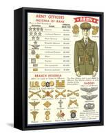 Army Officers Insignia-null-Framed Stretched Canvas