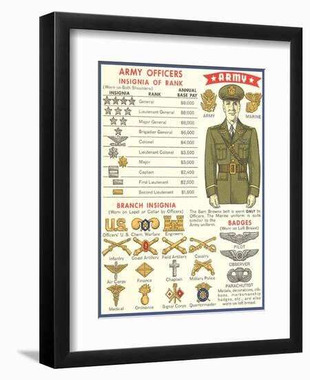 Army Officers Insignia-null-Framed Art Print