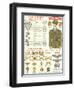 Army Officers Insignia-null-Framed Art Print