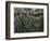 Army Parade, Ho Chi Minh City (Saigon), Vietnam, Southeast Asia-Christian Kober-Framed Photographic Print