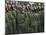 Army Parade, Ho Chi Minh City (Saigon), Vietnam, Southeast Asia-Christian Kober-Mounted Photographic Print