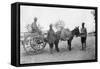Army Service Corp, Howshera, 1917-null-Framed Stretched Canvas