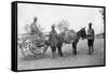 Army Service Corp, Howshera, 1917-null-Framed Stretched Canvas