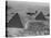 Army Supply Plane over the Pyramids-null-Stretched Canvas