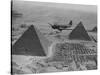 Army Supply Plane over the Pyramids-null-Stretched Canvas