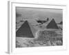 Army Supply Plane over the Pyramids-null-Framed Photographic Print