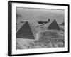 Army Supply Plane over the Pyramids-null-Framed Photographic Print