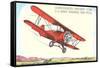 Army Training Biplane PT11C-null-Framed Stretched Canvas