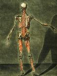 Superficial Muscular System of the Front of the Body-Arnauld Eloi Gautier D'agoty-Framed Stretched Canvas