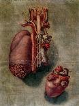 The Heart, Plate from Anatomy of the Visceras-Arnauld Eloi Gautier D'agoty-Framed Giclee Print