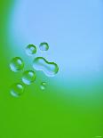 Drops of Water-Arne Morgenstern-Photographic Print