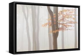 Arnhem Park Zypendaal-Wilco Dragt-Framed Stretched Canvas