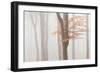 Arnhem Park Zypendaal-Wilco Dragt-Framed Photographic Print