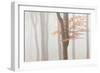 Arnhem Park Zypendaal-Wilco Dragt-Framed Photographic Print