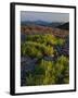 Arnica and Broken Rocks on Ridge Near Mount Isabel, Bridger National Forest, Wyoming, USA-Scott T. Smith-Framed Photographic Print