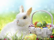Easter Bunny-Arnica Burnstone-Giclee Print