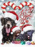 New Christmas puppy-Arnica Burnstone-Giclee Print