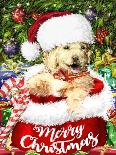 New Christmas puppy-Arnica Burnstone-Mounted Giclee Print