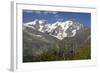 Arnica Montana And Mont Blanc-Bob Gibbons-Framed Premium Photographic Print