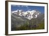 Arnica Montana And Mont Blanc-Bob Gibbons-Framed Premium Photographic Print