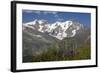 Arnica Montana And Mont Blanc-Bob Gibbons-Framed Premium Photographic Print