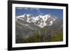 Arnica Montana And Mont Blanc-Bob Gibbons-Framed Photographic Print