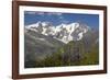 Arnica Montana And Mont Blanc-Bob Gibbons-Framed Photographic Print