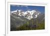 Arnica Montana And Mont Blanc-Bob Gibbons-Framed Photographic Print