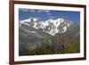 Arnica Montana And Mont Blanc-Bob Gibbons-Framed Photographic Print